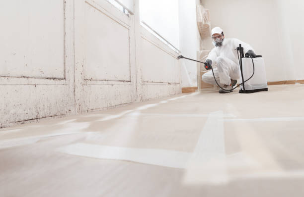 Best Asbestos and Lead Testing During Mold Inspection  in Troutman, NC